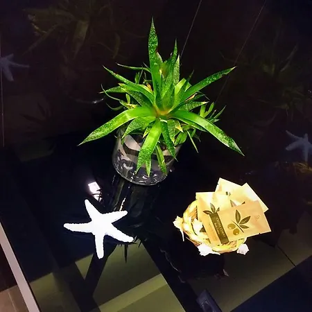 Sabin Ross Margherita Di Savoia